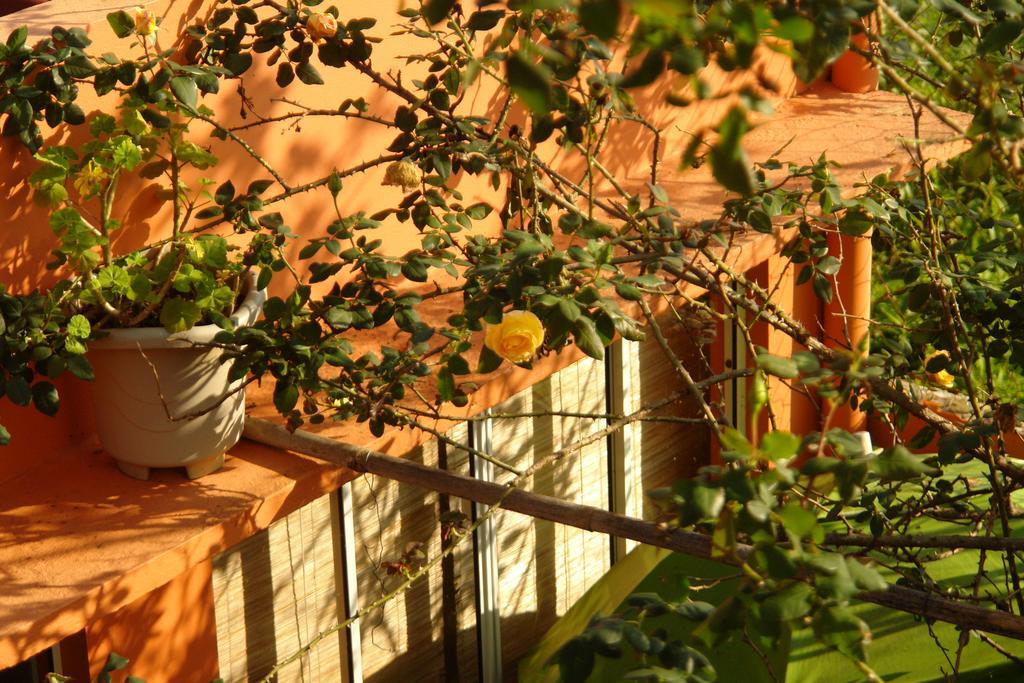 Recanto Dos Bambus Pousada Hotel Florianopolis Exterior photo